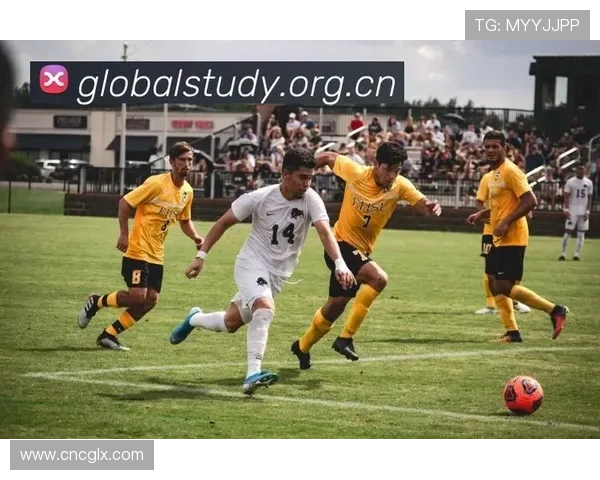 ✅体育直播🏆世界杯直播🏀NBA直播⚽- 新发现20余条水坝 良渚遗址揭示水利系统完整结构- sports